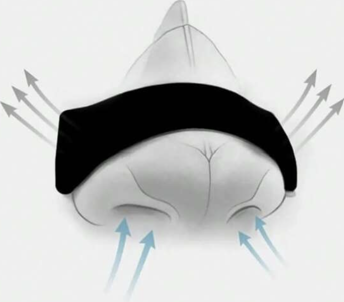 10x performance nasal strips